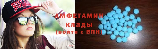 прущие грибы Балабаново