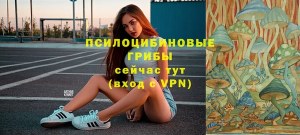 прущие грибы Балабаново
