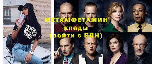 прущие грибы Балабаново