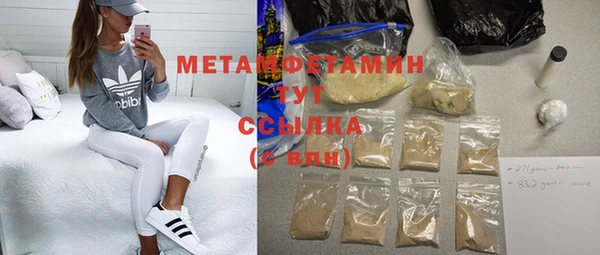 прущие грибы Балабаново