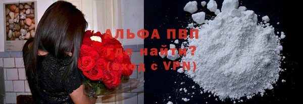 прущие грибы Балабаново