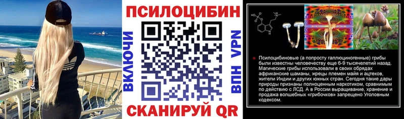 Псилоцибиновые грибы мицелий  Покачи 